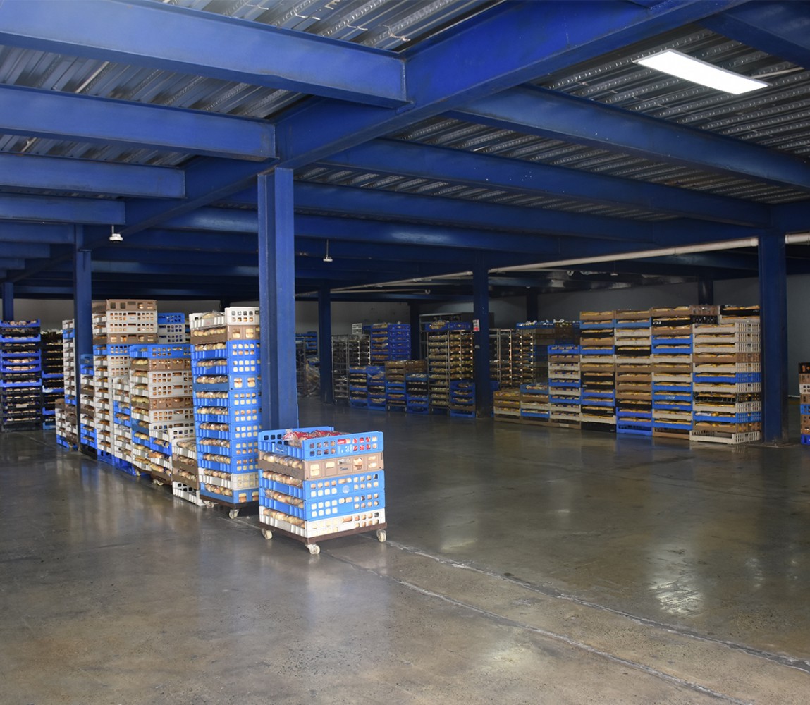 GalerÃ­a ConÃ³cenos